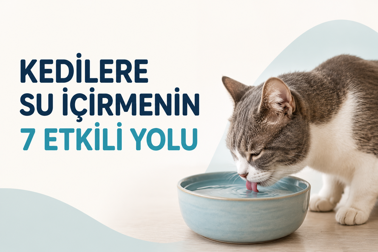 Kedilerde Su Tüketimini Artırmanın 7 Etkili Yolu (Hekim Tavsiyeleriyle) 