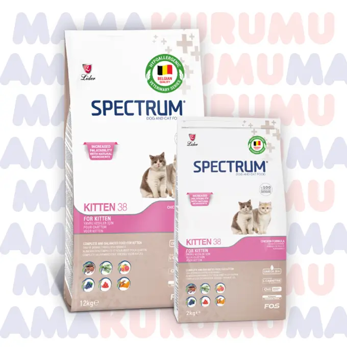 Spectrum Kitten 38 Yavru Kedi Maması - Tavuklu, 2 Kg